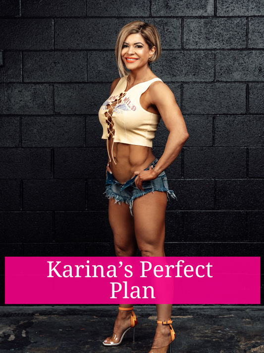 Karina's Perfect Plan